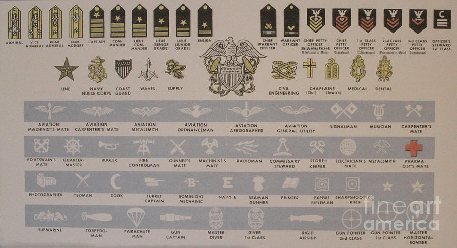 US Navy Insignias Photograph by Steven Parker - Pixels