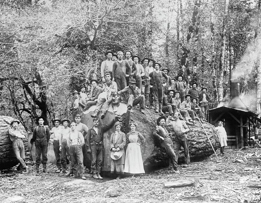 Us Rural Settlement Photograph by Library Of Congress