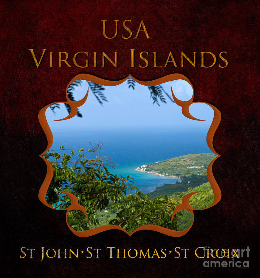 Copyright Owner Photograph - US Virgin Island Gallery by Iris Richardson