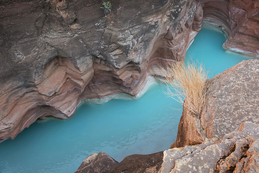 Arizona Photograph - Usa, Arizona, Grand Canyon National Park by Jaynes Gallery Arizona Photograph - Usa, Arizona, Grand Canyon National Park by Jaynes Gallery