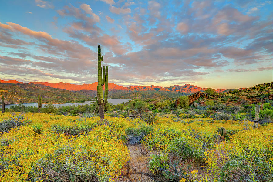 Sunset Photograph - USA, Arizona, Lake Bartlett, Cave Creek by Jaynes Gallery
