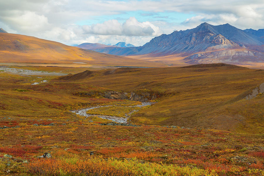 USA Brooks Range Gates Of The Arctic Photograph By Jaynes Gallery   Usa Brooks Range Gates Of The Arctic Jaynes Gallery 