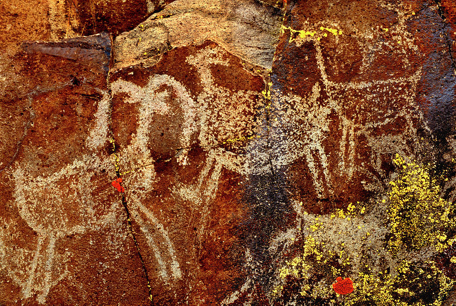 Ancient Photograph - Usa, California, Little Petroglyph by Jaynes Gallery Ancient Photograph - Usa, California, Little Petroglyph by Jaynes Gallery