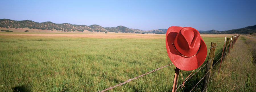 Farm Photograph - Usa, California, Red Cowboy Hat Hanging by Panoramic Images