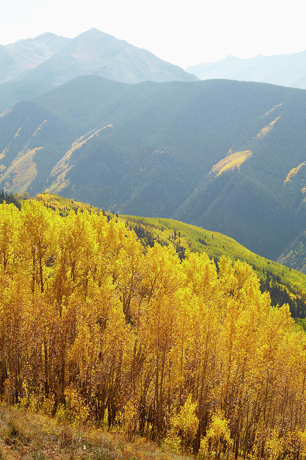 Usa, Colorado, Autumn Landscape With Photograph by Kelly