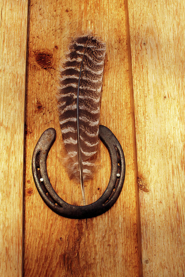 Usa, Colorado, Feather And Horse Shoe Photograph by John Kelly