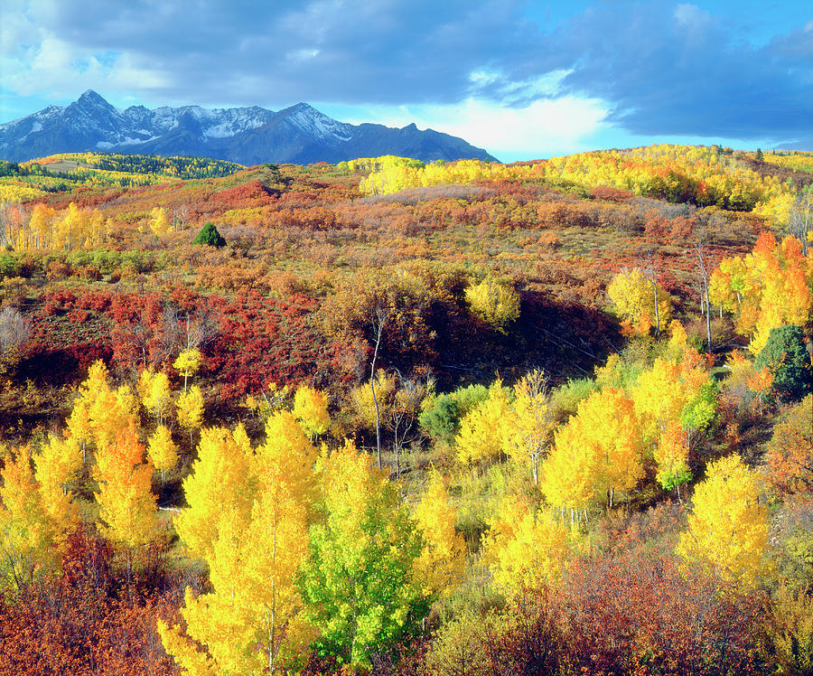 USA, Colorado, Rocky Mountains, Autumn Photograph by Jaynes Gallery ...