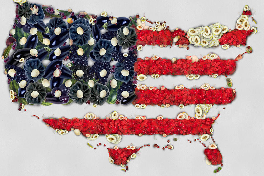USA flag map fruits and vegetables art Painting by Eti Reid