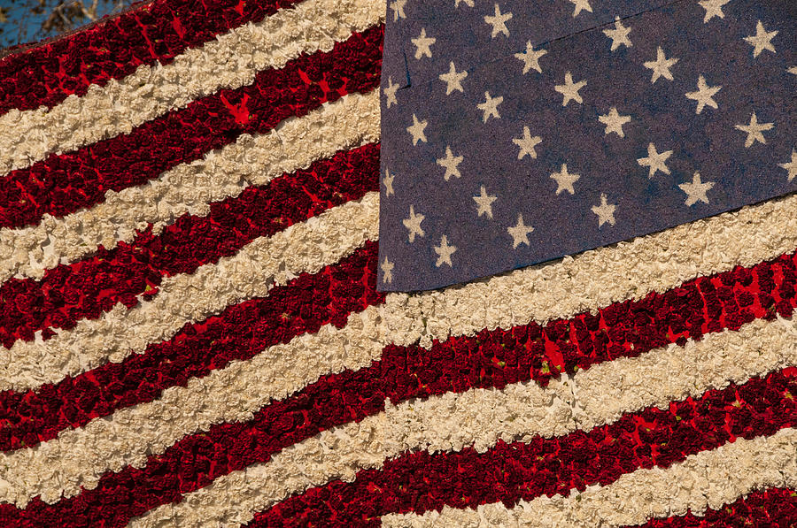 Usa Flag Of Flowers Photograph
