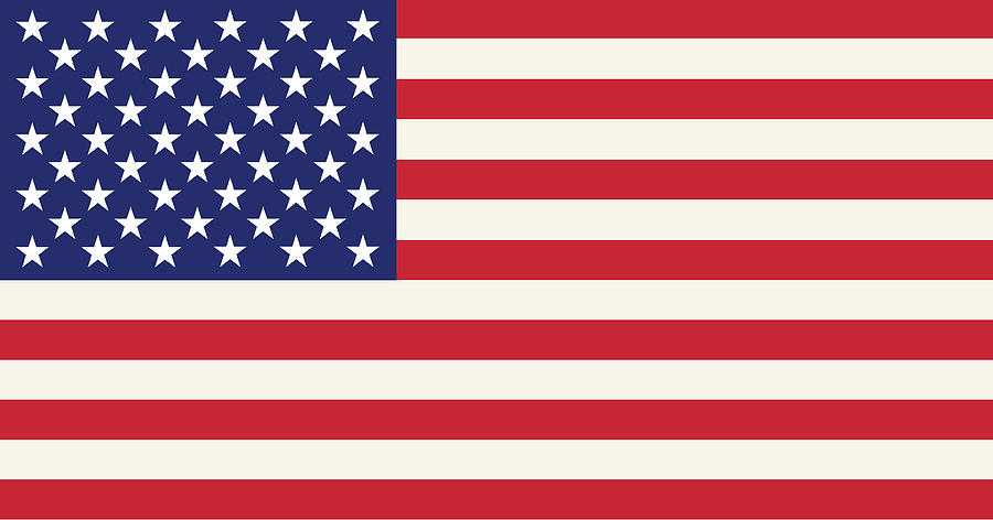 USA flag Photograph by Simoncarter
