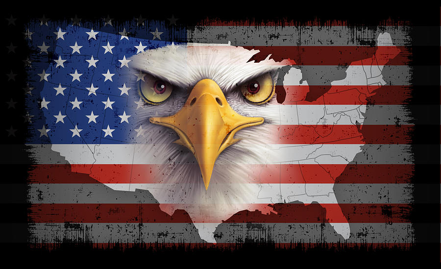 USA flag with bald eagle Drawing by Id-work