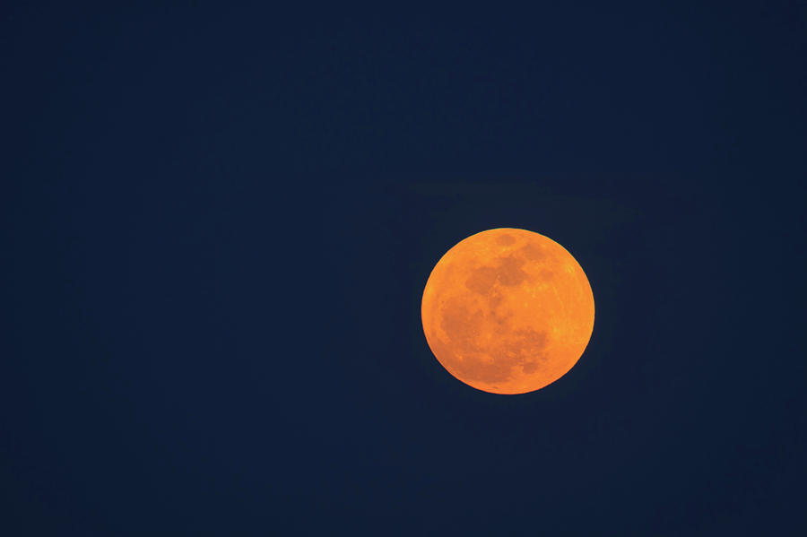 USA, Savannah, Moon Rise Photograph by Joanne Wells Pixels