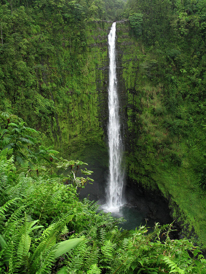 USA, Hawaii, Hilo Photograph by Jaynes Gallery | Fine Art America