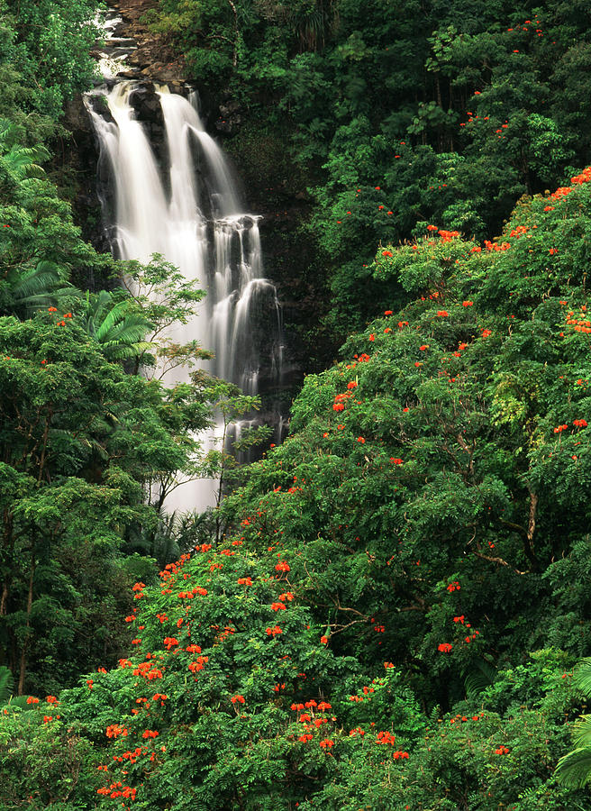 USA, Hawaii Islands, View Of Nanue Photograph by Stuart Westmorland ...