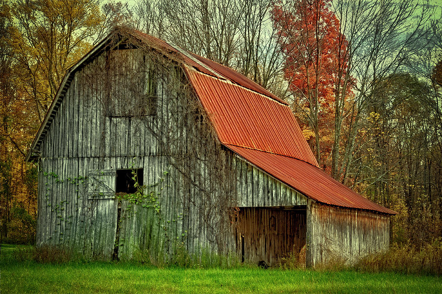 USA, Indiana Rural Landscape Photograph by Rona Schwarz - Fine Art America