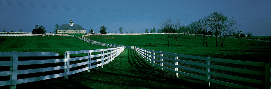 Usa, Kentucky, Lexington, Horse Farm Photograph by Panoramic Images