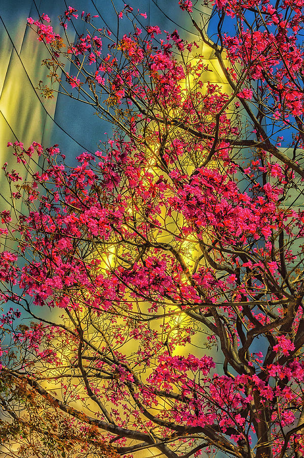 USA, Los Angeles, Ca, The Disney Center Photograph by Rona Schwarz USA, Los Angeles, Ca, The Disney Center Photograph by Rona Schwarz