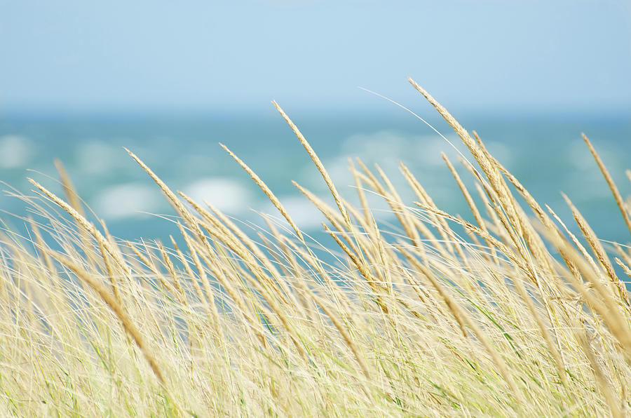 Usa, Massachusetts, Nantucket Island Photograph by Chuck Plante Usa, Massachusetts, Nantucket Island Photograph by Chuck Plante