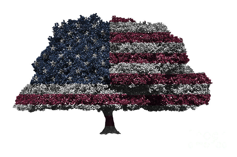 USA national flag on isolated tree Digital Art by Geet Anjali Pixels