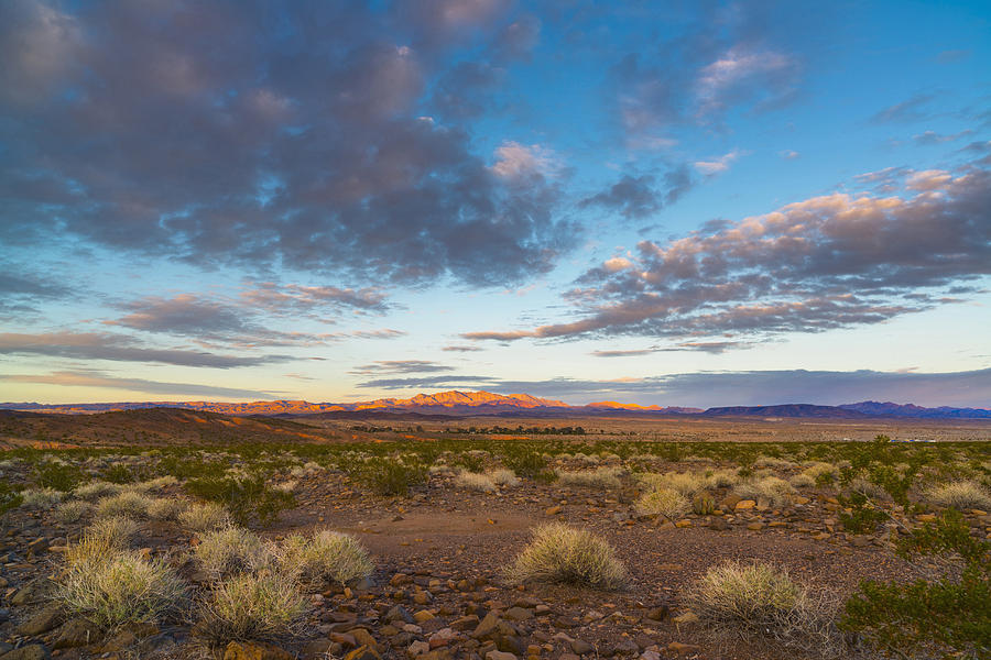 USA, Nevada, Landscape with desert and moody sky Photograph by Gary Weathers