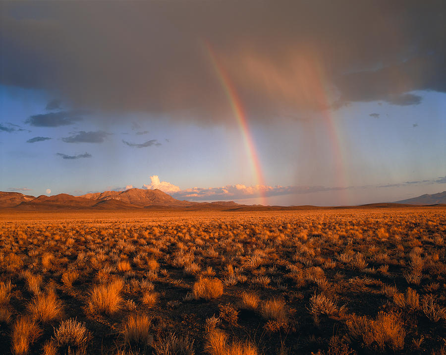 Desert Photograph - Usa, Nevada, Nevada Desert, Rainbows by Panoramic Images