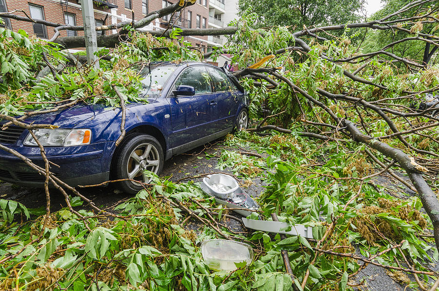 USA, New York, Brooklyn, Car smashed by fallen tree Photograph by Antonio Rosario