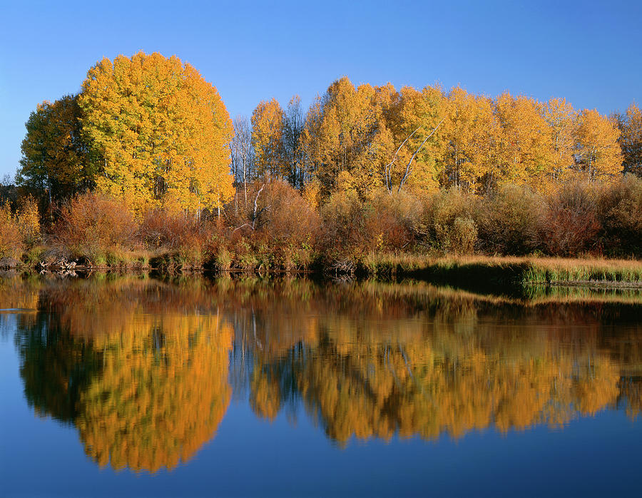 USA, Oregon, Deschutes National Forest Photograph by John Barger - Fine ...