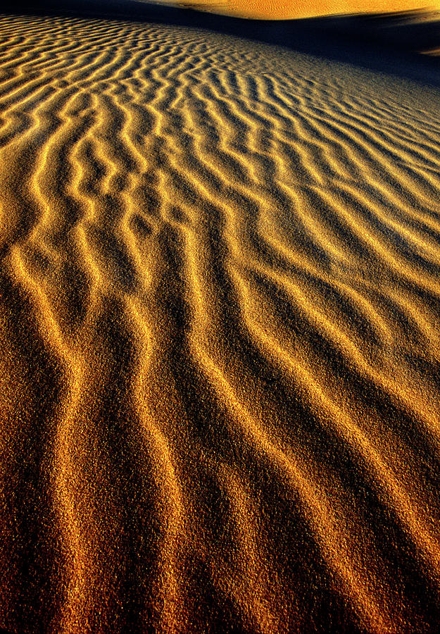 Abstract Photograph - USA, Oregon, Oregon Dunes National by Jaynes Gallery