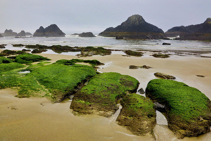 Beach Photograph - USA, Oregon, Seal Rock State Park by Jaynes Gallery