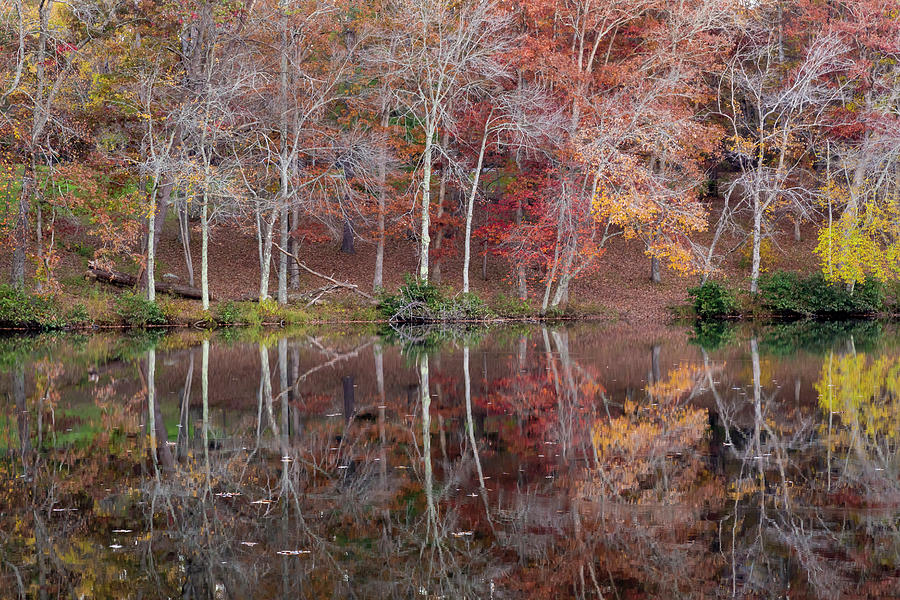 Fall Photograph - USA, Tennessee, Cumberland Mountain by Jaynes Gallery