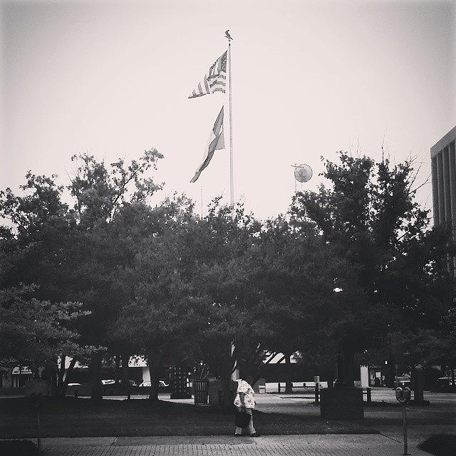 Flag Photograph - #usa #texas #walking #flags by Craig Uszak