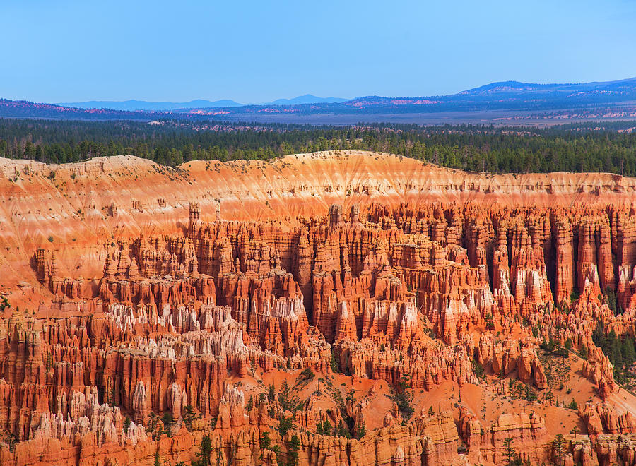 Usa, Utah, Bryce Canyon, Landscape With Photograph by Daniel Grill