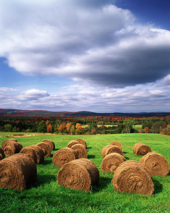 Adam Jones Photograph - USA, Vermont, Westmore, Hay Bales by Adam Jones Adam Jones Photograph - USA, Vermont, Westmore, Hay Bales by Adam Jones