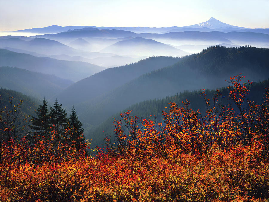 Fall Photograph - USA, Washington, Columbia River Gorge by Jaynes Gallery