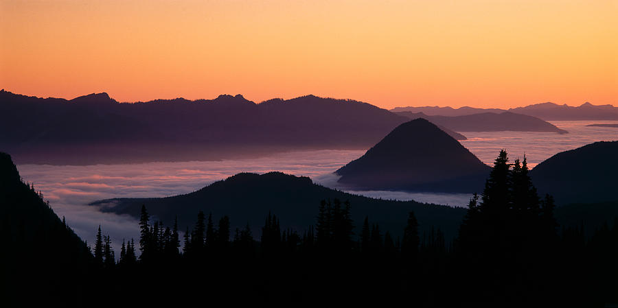 Mount Rainier National Park Photograph - Usa, Washington, Mount Rainier National by Panoramic Images