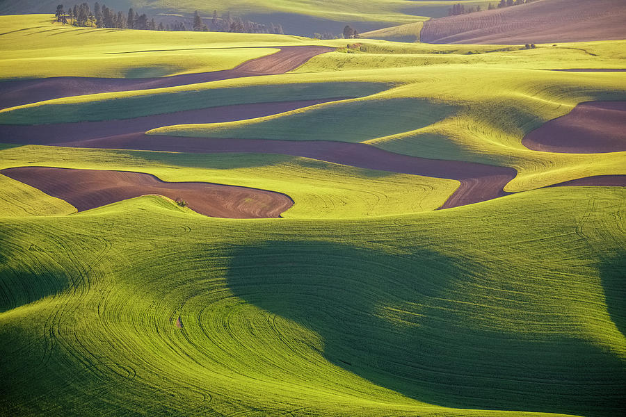 USA, Washington State, Palouse, Aerial Photograph by George Theodore ...