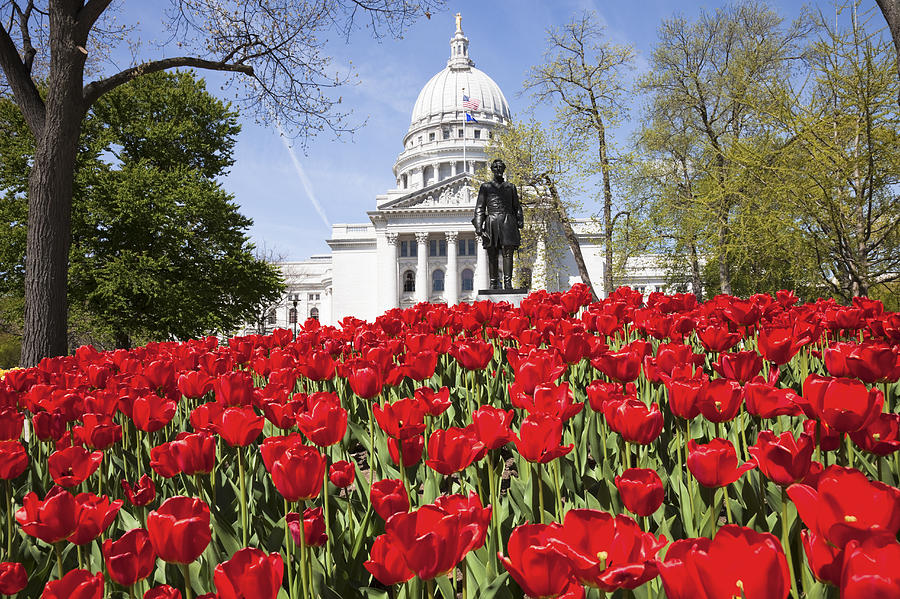 USA, Wisconsin, Madison, State Capitol Building, red tulips in foreground Photograph by Henryk Sadura