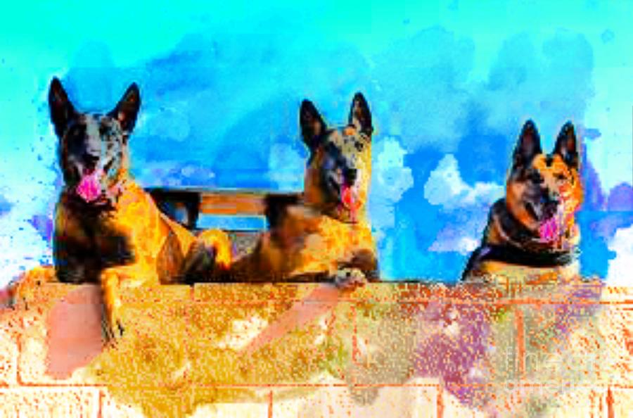USAF guard dogs Digital Art by Steven  Pipella