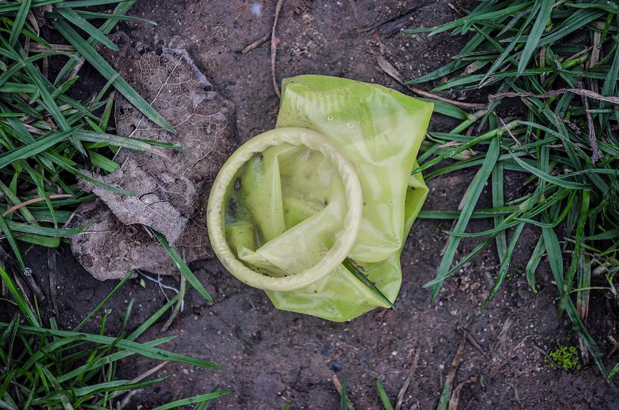 Outdoors Photograph - Used Condom On Ground by Robert Brook/science Photo Library