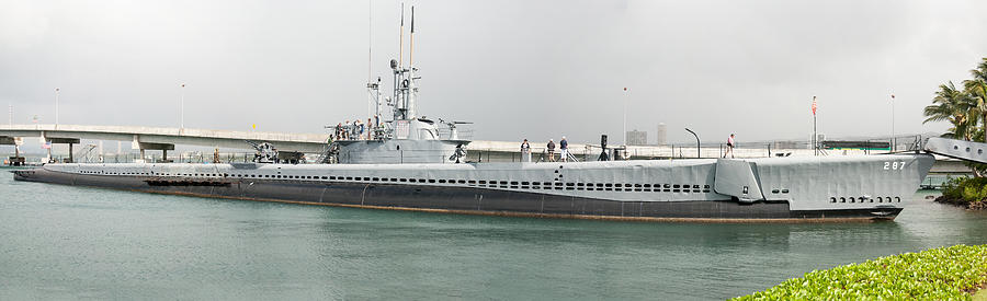 USS Bowfin SS-287 Photograph by Richard J Cassato