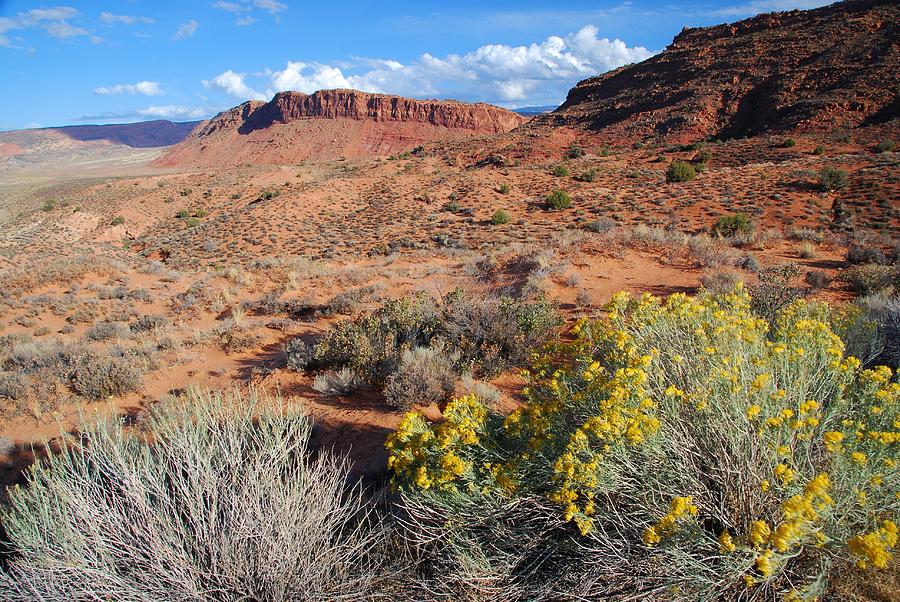 Utah Desert Landscape Photograph
