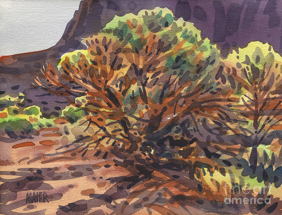 Utah Juniper Painting by Donald Maier