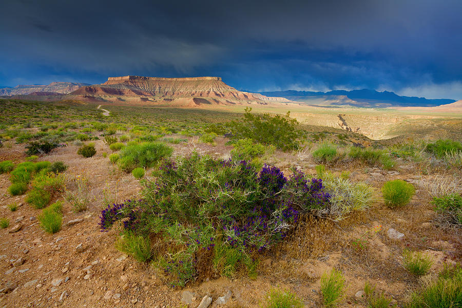Utah Landscape Photograph