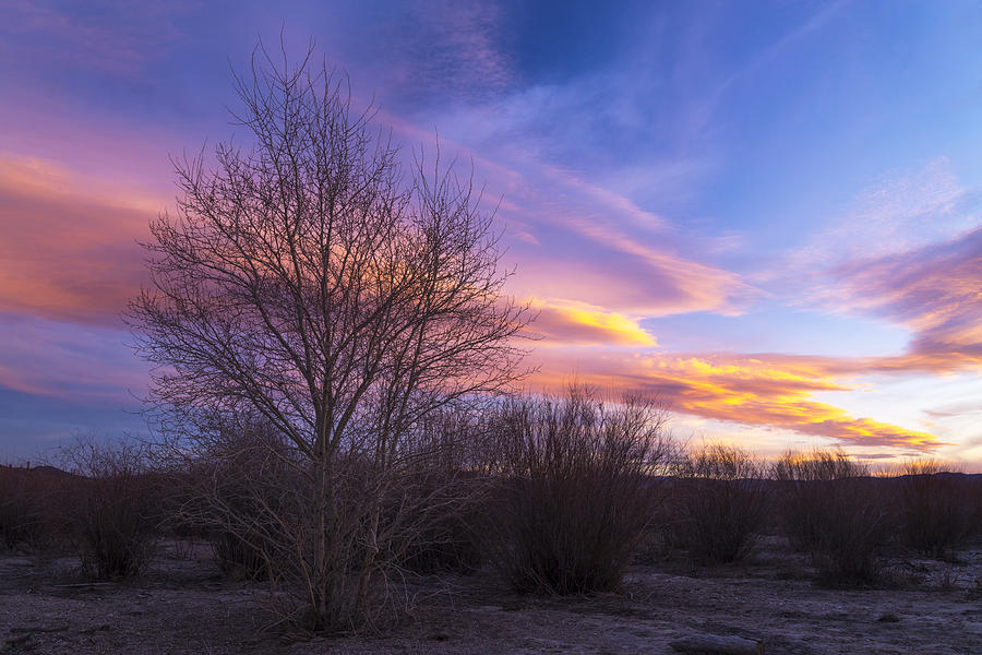 Utah Sunset Photograph by Dustin LeFevre