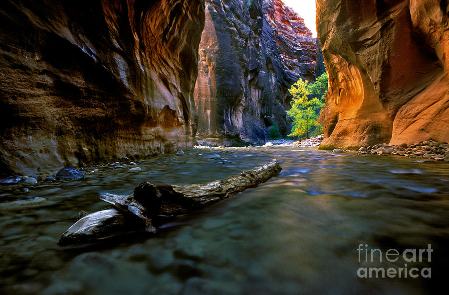 Utah - Zion National Park - Virgin River 9 Photograph by Terry Elniski