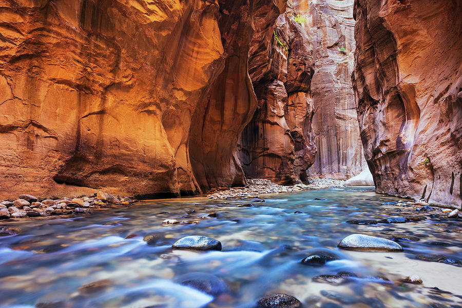 Utah, Zion National Park, Virgin River Photograph by Makena Stock Media