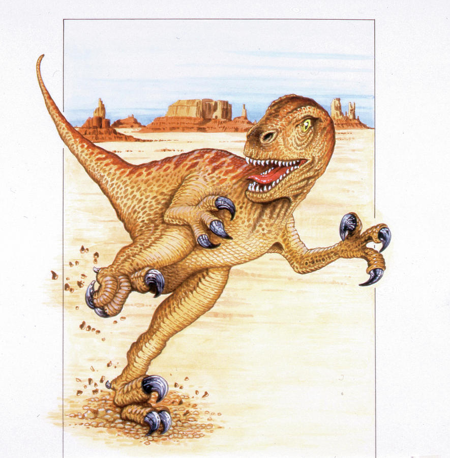Prehistoric Photograph - Utahraptor Dinosaur by Deagostini/uig