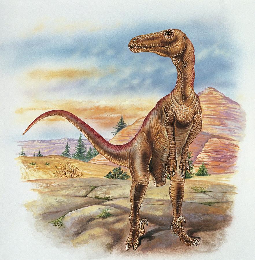 Utahraptor Dinosaur Photograph by Deagostini/uig/science Photo Library