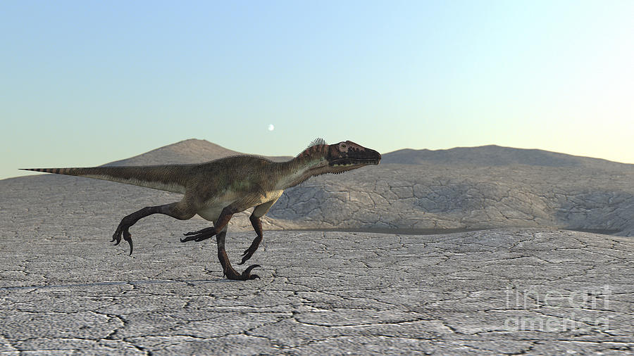 Utahraptor Running Across A Desert Digital Art by Kostyantyn Ivanyshen ...