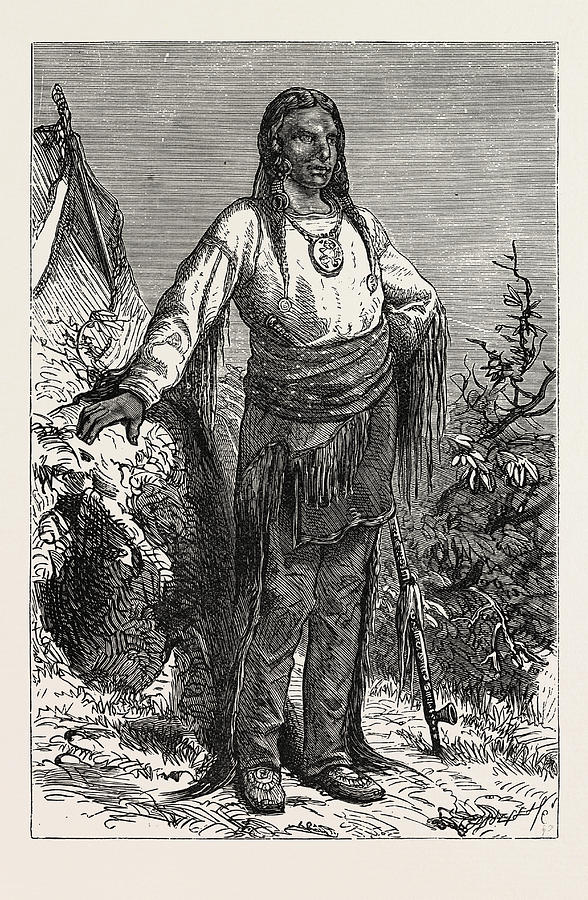 Vintage Drawing - Ute Indian Chief by English School